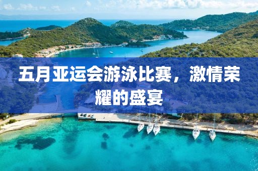 五月亚运会游泳比赛，激情荣耀的盛宴