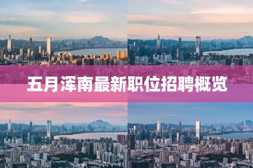 五月浑南最新职位招聘概览