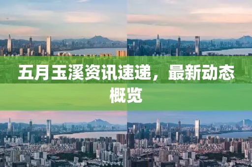 五月玉溪资讯速递，最新动态概览