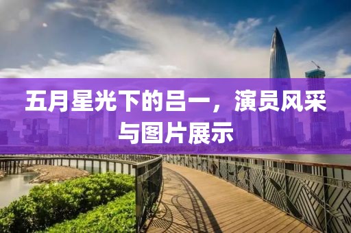 五月星光下的吕一，演员风采与图片展示