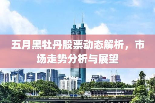 五月黑牡丹股票动态解析，市场走势分析与展望