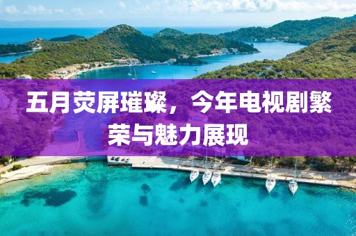 五月荧屏璀璨，今年电视剧繁荣与魅力展现