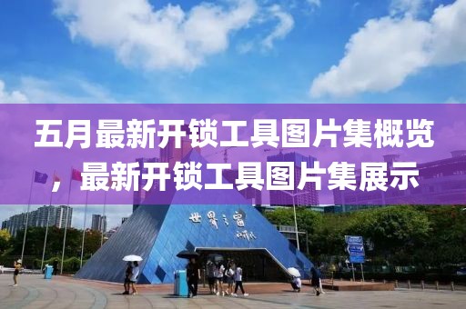 五月最新开锁工具图片集概览，最新开锁工具图片集展示