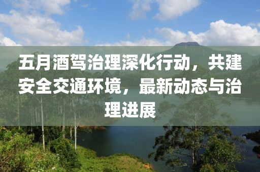 五月酒驾治理深化行动，共建安全交通环境，最新动态与治理进展