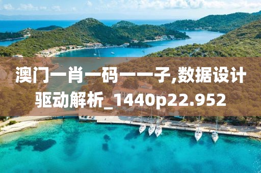 澳门一肖一码一一子,数据设计驱动解析_1440p22.952