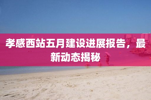 孝感西站五月建设进展报告，最新动态揭秘