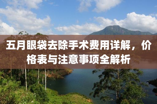 五月眼袋去除手术费用详解，价格表与注意事项全解析