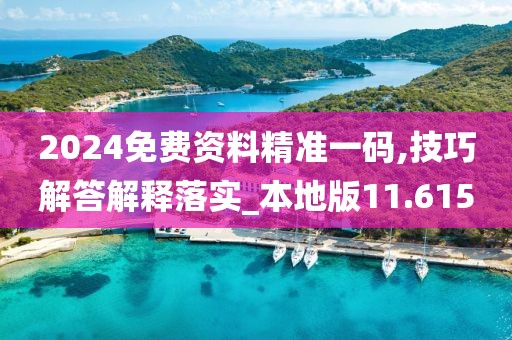 2024免费资料精准一码,技巧解答解释落实_本地版11.615