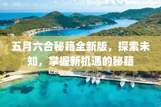 五月六合秘籍全新版，探索未知，掌握新机遇的秘籍
