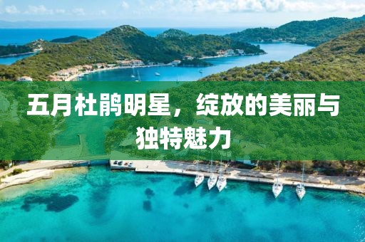 五月杜鹃明星，绽放的美丽与独特魅力