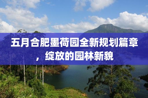 五月合肥墨荷园全新规划篇章，绽放的园林新貌