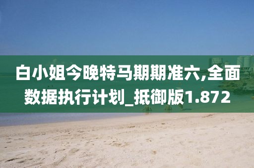 白小姐今晚特马期期准六,全面数据执行计划_抵御版1.872