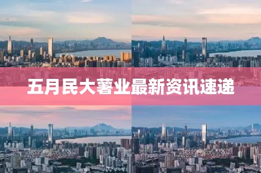 五月民大薯业最新资讯速递