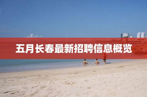 五月长春最新招聘信息概览
