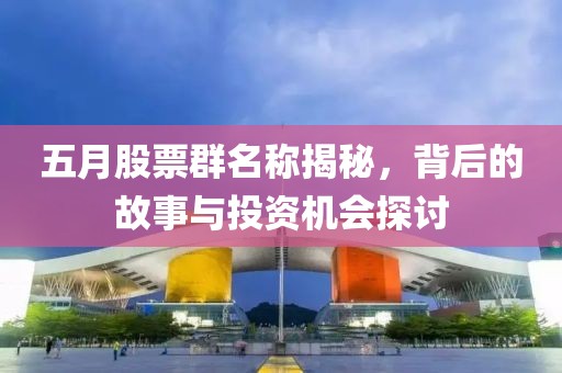 五月股票群名称揭秘，背后的故事与投资机会探讨