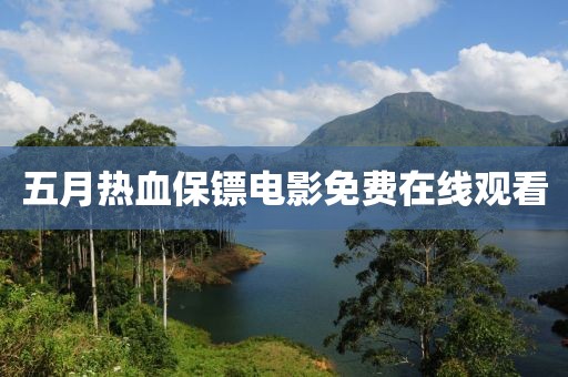 五月热血保镖电影免费在线观看