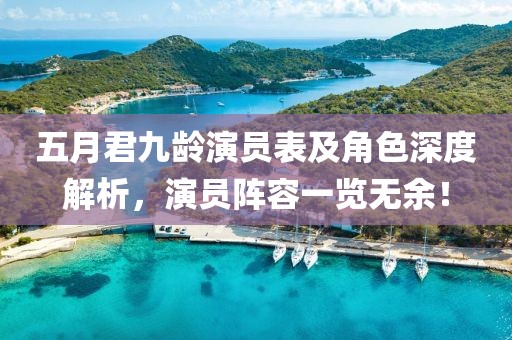 五月君九龄演员表及角色深度解析，演员阵容一览无余！
