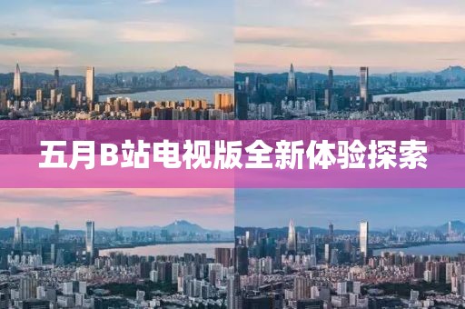 五月B站电视版全新体验探索