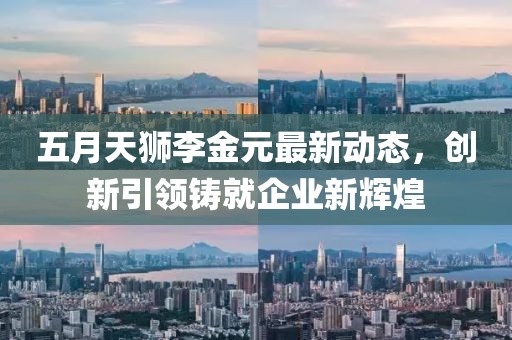 五月天狮李金元最新动态，创新引领铸就企业新辉煌