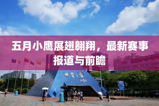 五月小鹰展翅翱翔，最新赛事报道与前瞻
