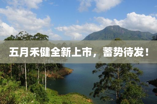 五月禾健全新上市，蓄势待发！