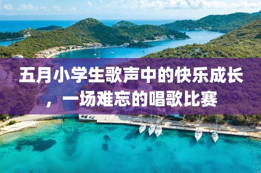 五月小学生歌声中的快乐成长，一场难忘的唱歌比赛