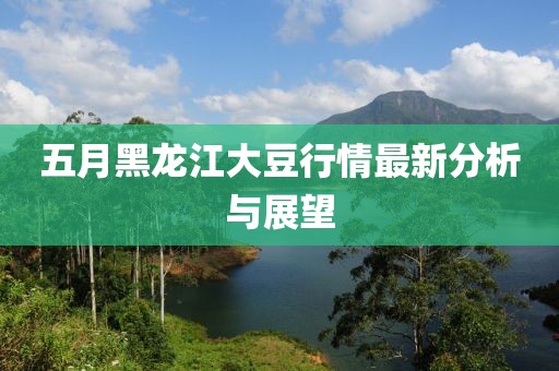 五月黑龙江大豆行情最新分析与展望