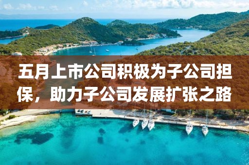 五月上市公司积极为子公司担保，助力子公司发展扩张之路