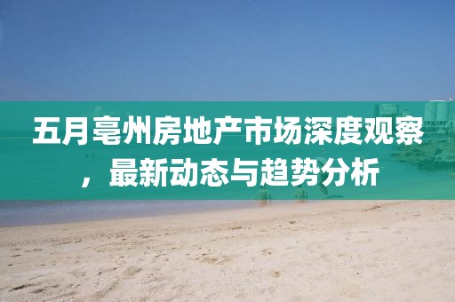 五月亳州房地产市场深度观察，最新动态与趋势分析