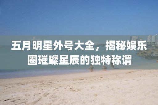 五月明星外号大全，揭秘娱乐圈璀璨星辰的独特称谓