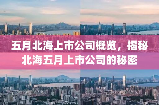 五月北海上市公司概览，揭秘北海五月上市公司的秘密