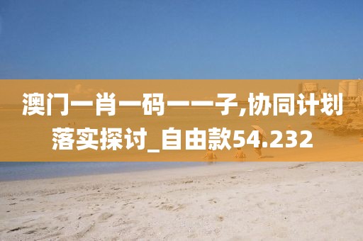 澳门一肖一码一一子,协同计划落实探讨_自由款54.232
