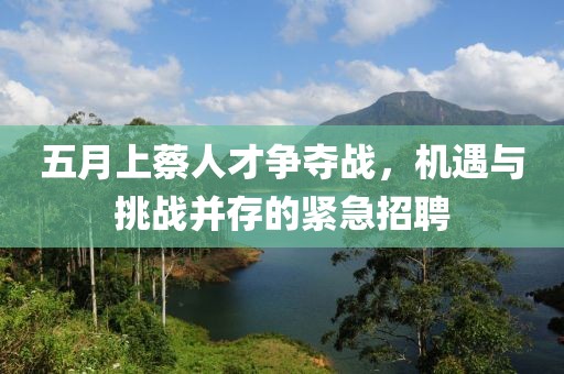 五月上蔡人才争夺战，机遇与挑战并存的紧急招聘