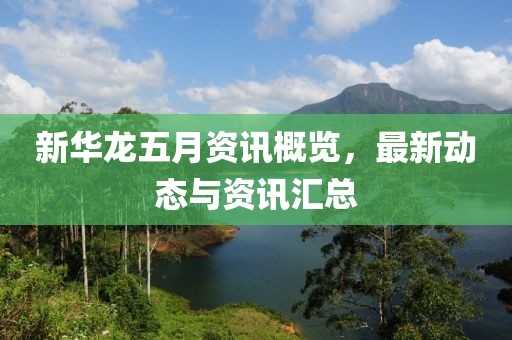 新华龙五月资讯概览，最新动态与资讯汇总