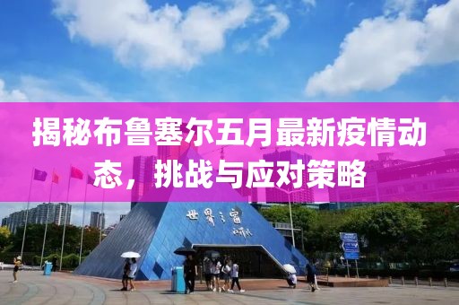 揭秘布鲁塞尔五月最新疫情动态，挑战与应对策略