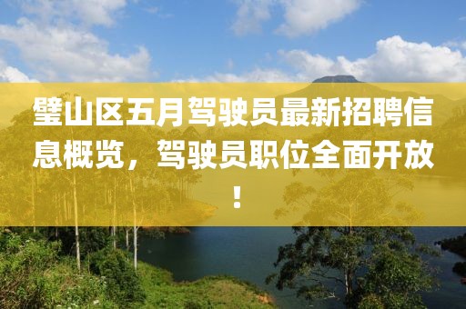 璧山区五月驾驶员最新招聘信息概览，驾驶员职位全面开放！