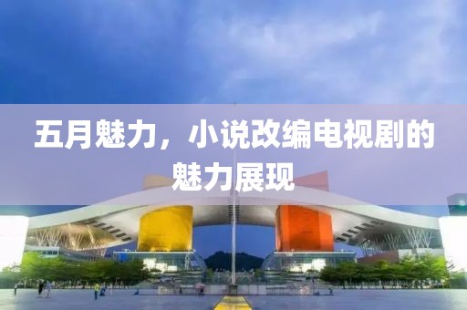 五月魅力，小说改编电视剧的魅力展现