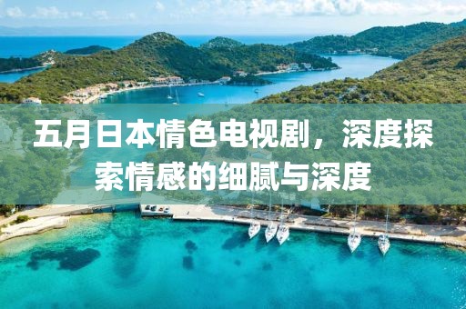 五月日本情色电视剧，深度探索情感的细腻与深度