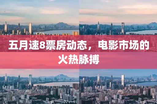 五月速8票房动态，电影市场的火热脉搏
