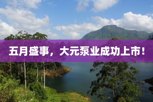 五月盛事，大元泵业成功上市！