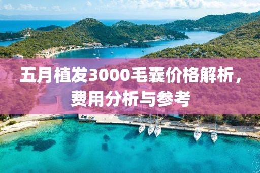 五月植发3000毛囊价格解析，费用分析与参考