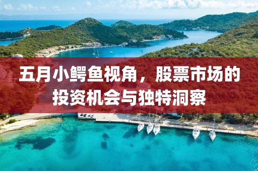 五月小鳄鱼视角，股票市场的投资机会与独特洞察