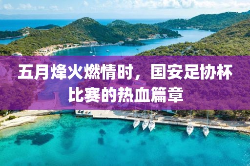 五月烽火燃情时，国安足协杯比赛的热血篇章