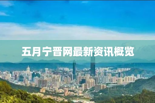 五月宁晋网最新资讯概览
