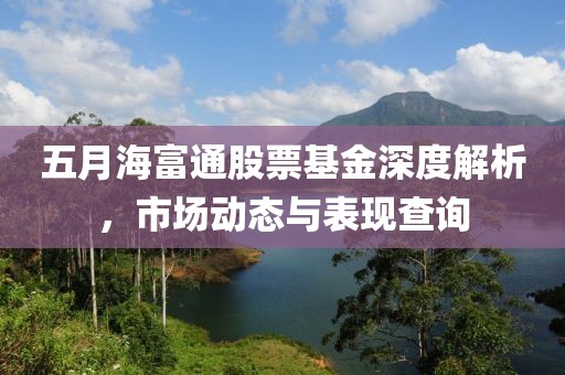 五月海富通股票基金深度解析，市场动态与表现查询