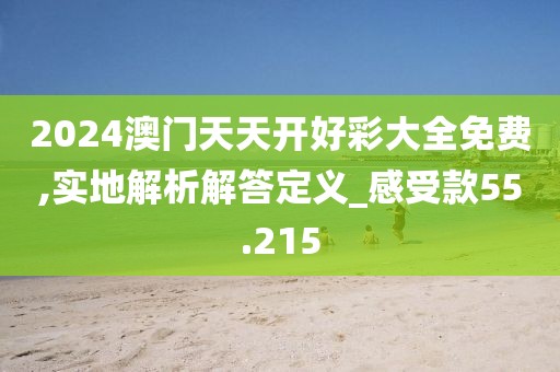 2024澳门天天开好彩大全免费,实地解析解答定义_感受款55.215