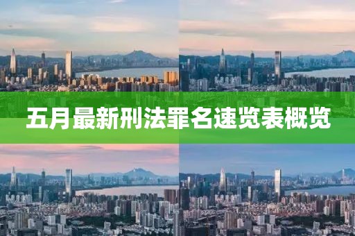 五月最新刑法罪名速览表概览