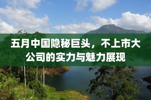 五月中国隐秘巨头，不上市大公司的实力与魅力展现