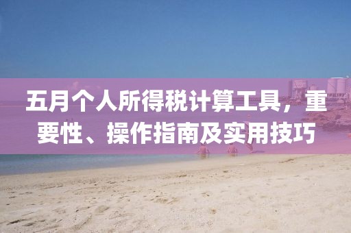 五月个人所得税计算工具，重要性、操作指南及实用技巧