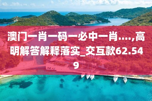 澳门一肖一码一必中一肖....,高明解答解释落实_交互款62.549